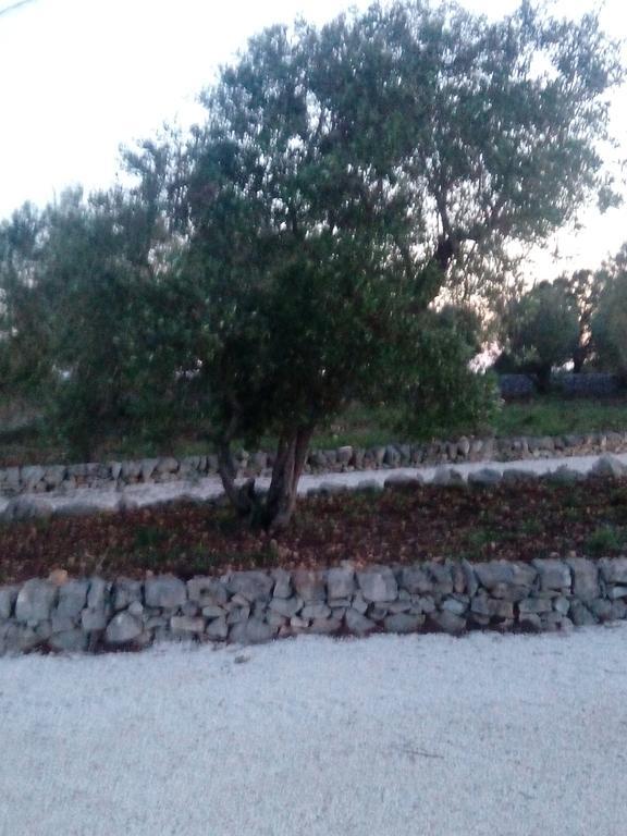 诺西Trulli Sarmenzanello公寓 外观 照片