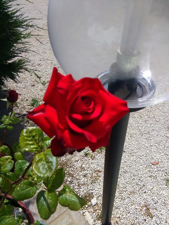 诺西Trulli Sarmenzanello公寓 外观 照片